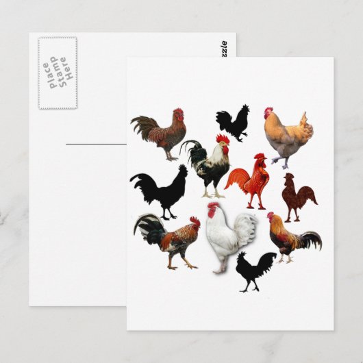 Rooster Collage Vintage Rustikale Hühner Postkarte (Vorne/Hinten)