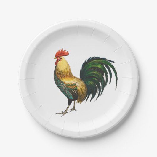 Rooster Country Klassiker mit traditionellem Vogel Pappteller (Vorderseite)
