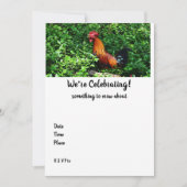 Rooster Crowing (Vorderseite)