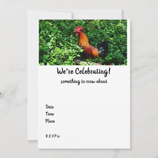 Rooster Crowing (Vorderseite)