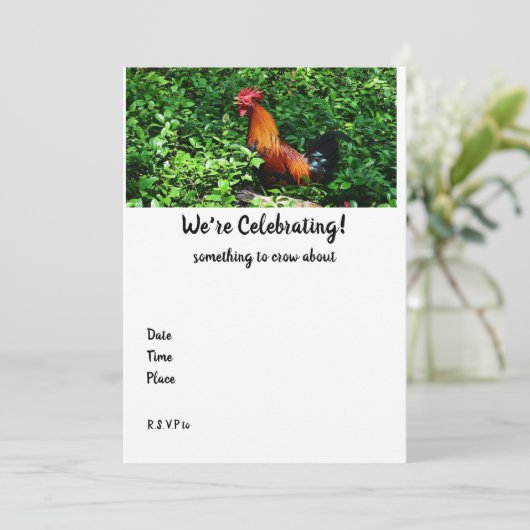 Rooster Crowing (Stehend Vorderseite)