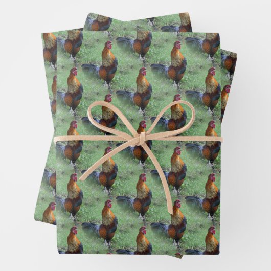 Rooster Crowing Animal Nattern Muster Geschenkpapier Set (Beispiel)