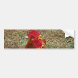 Rooster Crowing Autoaufkleber