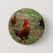 Rooster Crowing Button (Vorderseite)
