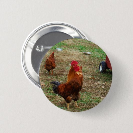 Rooster Crowing Button (Vorne & Hinten)