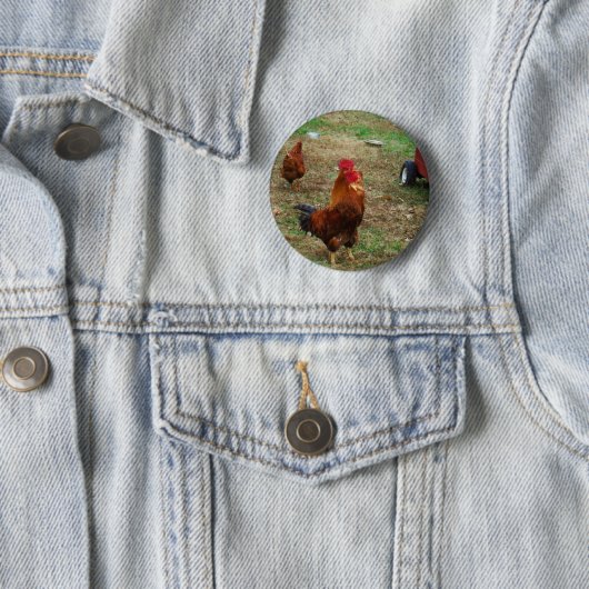 Rooster Crowing Button (Beispiel)