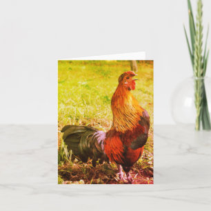 Rooster Crowing Farm Animal Art Note Card Karte