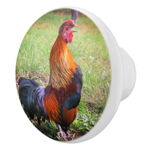 Rooster Crowing Farm Animal  Keramikknauf