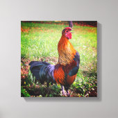 Rooster Crowing Farm Animal Leinwanddruck (Vorderseite)