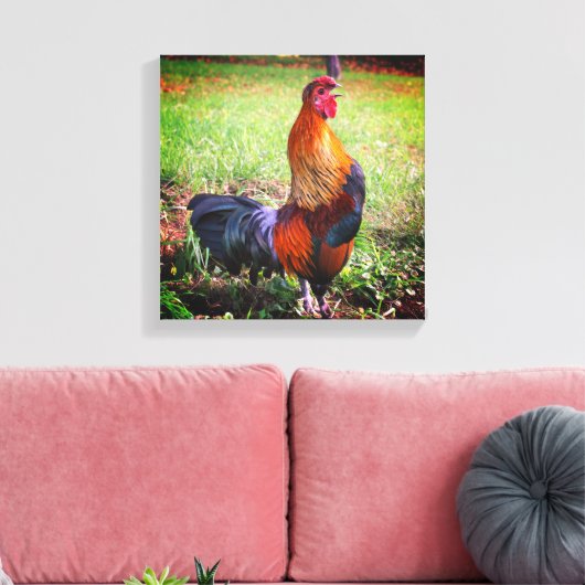 Rooster Crowing Farm Animal Leinwanddruck (Insitu (Wohnzimmer))