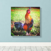 Rooster Crowing Farm Animal Leinwanddruck (Insitu (Holzboden))