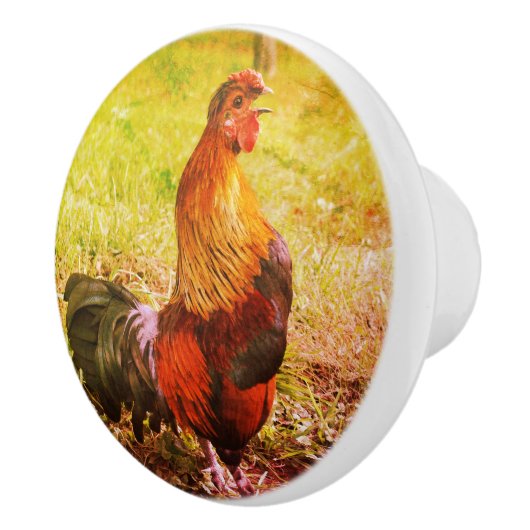 Rooster Crowing Farm Tier Abstrakt Keramikknauf (Rechts)