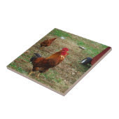 Rooster Crowing Fliese (Seite)