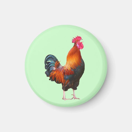 Rooster Crowing Magnet (Vorne)