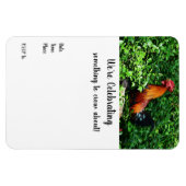 Rooster Crowing Magnet (Horizontal)