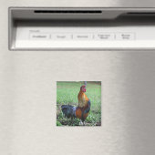 Rooster Crowing Nature Foto Magnet (In Situ (Geschirrspüler))