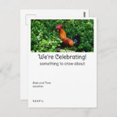 Rooster Crowing Postkarte (Vorne/Hinten)