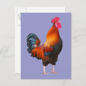 Rooster Crowing Postkarte (Vorne/Hinten)
