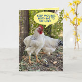 Rooster, der den Verkehr 4 über das Hügelhühnchen Karte (Gelbe Blume)