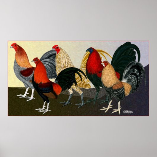 Rooster Dream Team Poster (Vorne)
