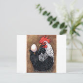 Rooster Egg Zeichnend Hühnerweih Postkarte (Stehend Vorderseite)