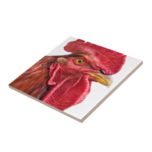 Rooster Face Fliese (Seite)