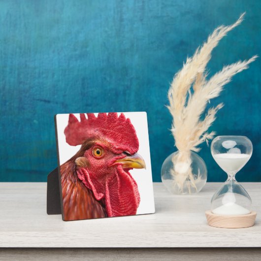 Rooster Face Fotoplatte (InSitu)