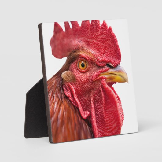 Rooster Face Fotoplatte (Vorderseite)