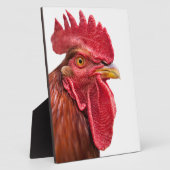 Rooster Face Fotoplatte (Seite)