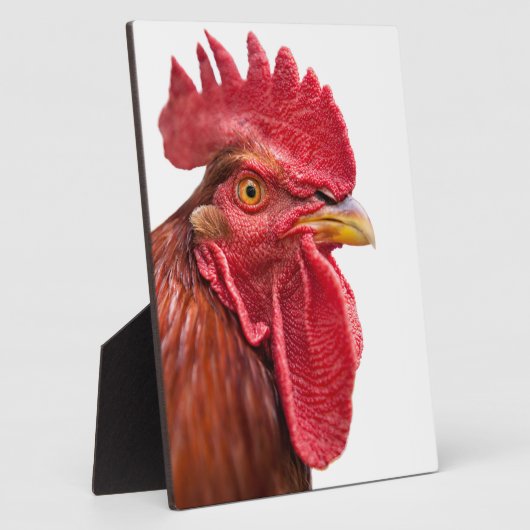 Rooster Face Fotoplatte (Seite)