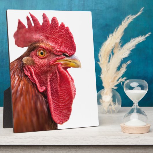 Rooster Face Fotoplatte (Seite)