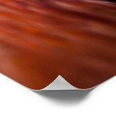 Rooster Face Poster (Ecke)