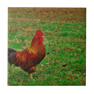 Rooster Facing right Fliese