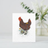 Rooster Farm (Stehend Vorderseite)