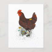 Rooster Farm (Vorderseite)
