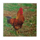 Rooster Fliese (Vorderseite)