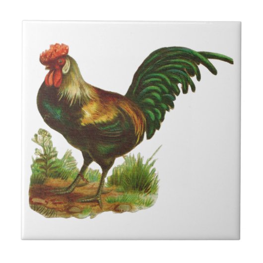 Rooster Fliese (Vorderseite)