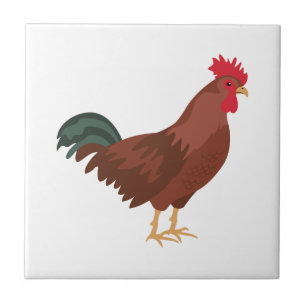 Rooster Fliese