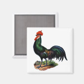 Rooster für antike grüne Feathers Magnet (Vorderseite/Rückseite)