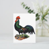 Rooster für antike grüne Feathers Postkarte (Stehend Vorderseite)