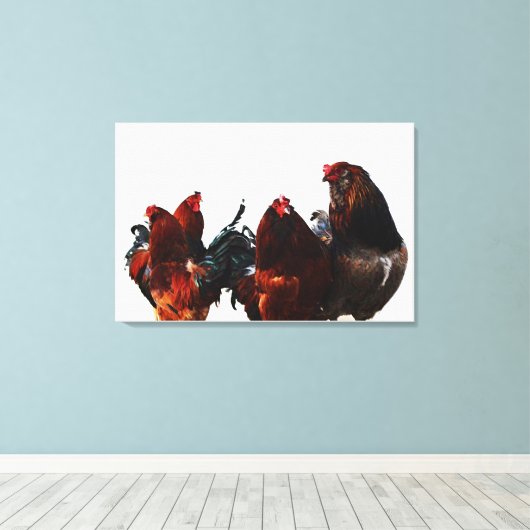 Rooster Gang Chicken Leinwand Fotografie (Insitu (Holzboden))