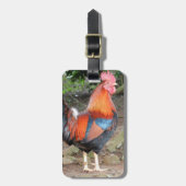 Rooster Gepäckanhänger (Vorderseite vertikal)