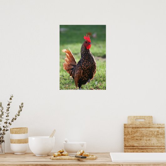 "Rooster Glow" Poster (Küche)