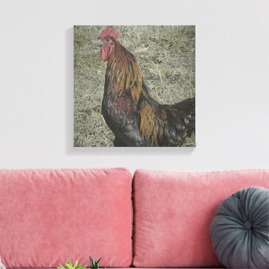 Rooster Grunge Leinwanddruck (Insitu (Wohnzimmer))
