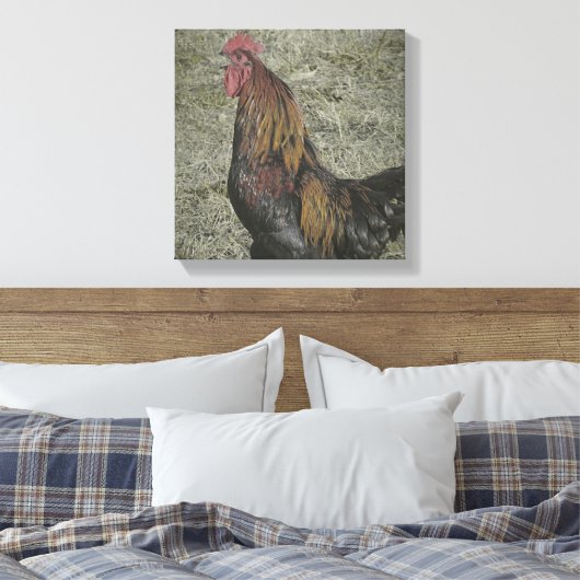 Rooster Grunge Leinwanddruck (Insitu (Schlafzimmer))