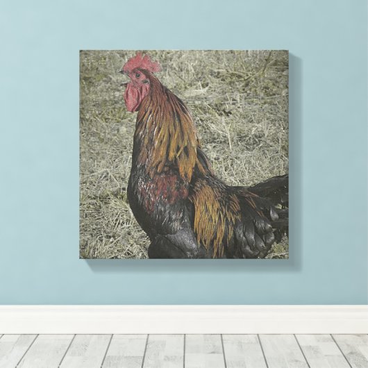 Rooster Grunge Leinwanddruck (Insitu (Holzboden))
