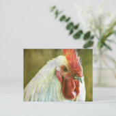 Rooster Grunge Postkarte (Stehend Vorderseite)