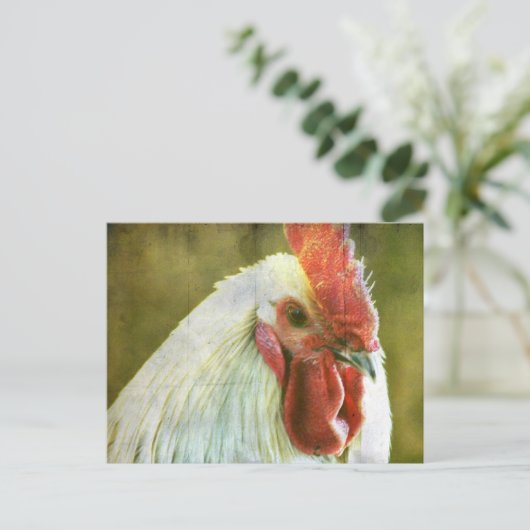 Rooster Grunge Postkarte (Stehend Vorderseite)