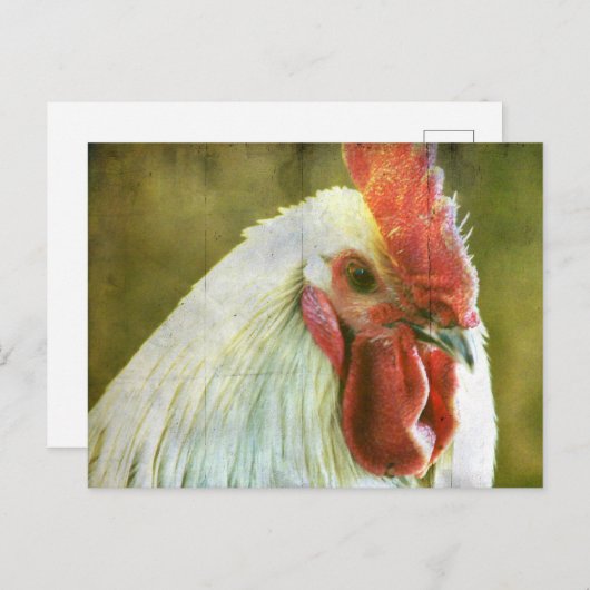 Rooster Grunge Postkarte (Vorne/Hinten)