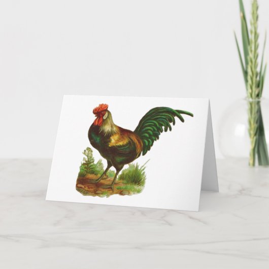 Rooster-Grußkarte Karte (Vorderseite)